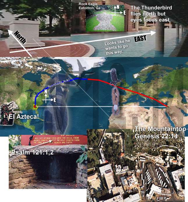 Look Who is on the Thunderbird Track