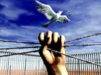 MURDER BY NEGLIGENCE - AUSTRALIAN GOVERNMENT RESPONSIBLE