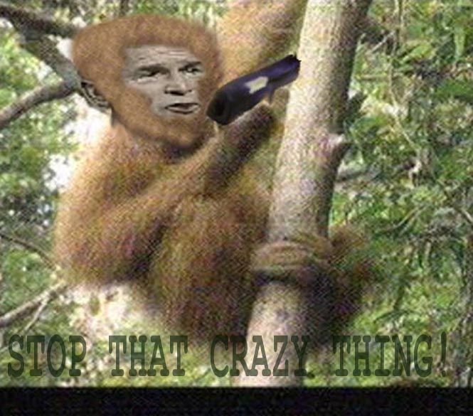 WING-NUT ON THE LOOSE!!