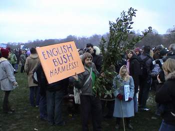 London Protest & English Bush (harmless)
