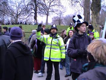London Protest & English Bush (harmless)