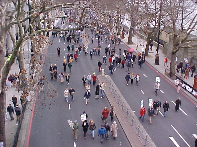 ...and even more photos