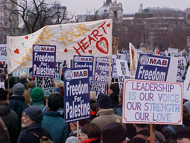 ...and even more photos