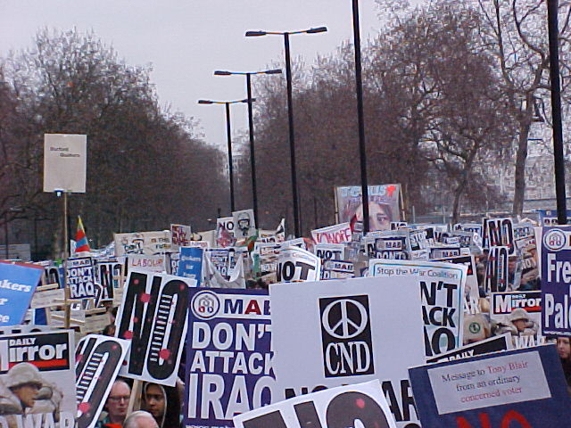 ...and even more photos