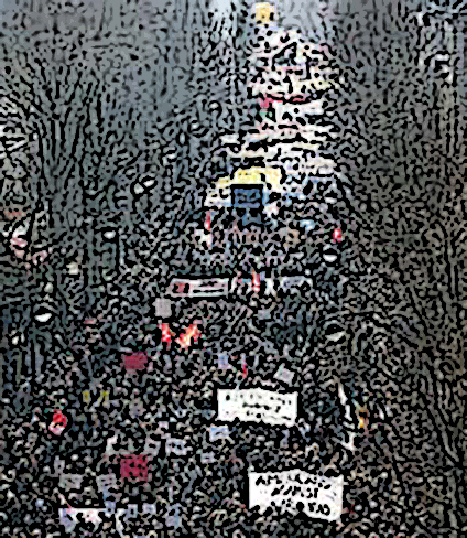 Solidarity From Canada's Westcoast