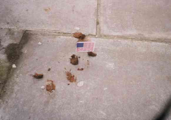 Pooflags campaign (pics this time)