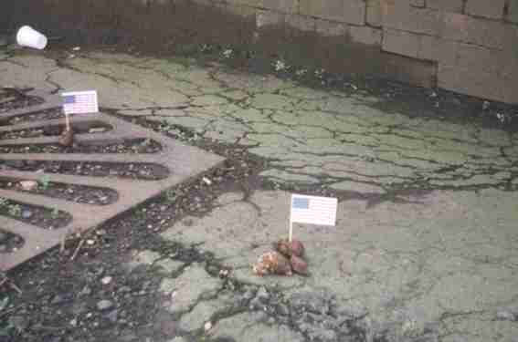 Pooflags campaign (pics this time)