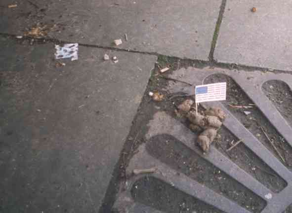 Pooflags campaign (pics)