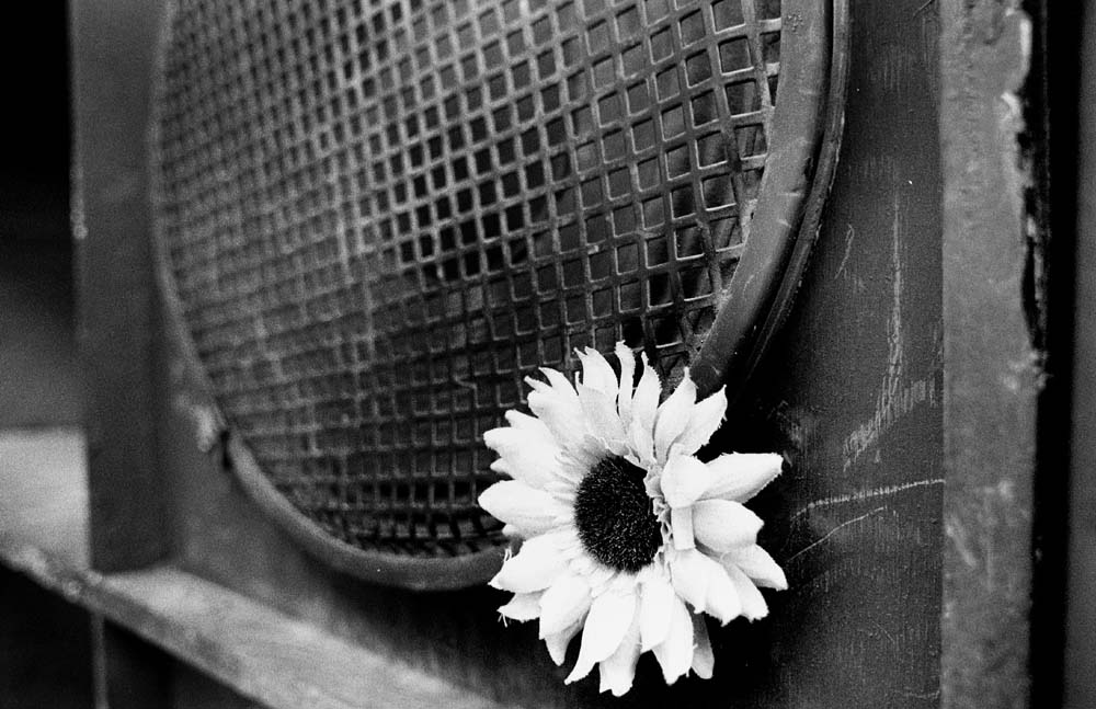 STOP THE WAR, RECLAIM THE STREETS: PHOTOGRAPHY