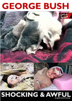 posters/placards -- print out and distribute