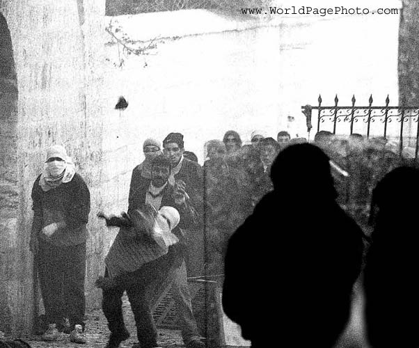 WORLD Revolutionary Groups Honor bin Laden