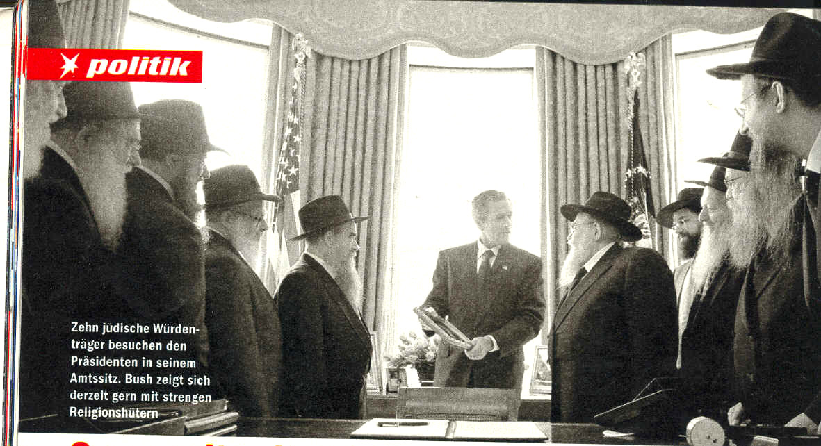 Photo of Bush from STERN