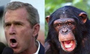 Make NYC Look Like Baghdad: Philosophy with Sayyid Qutb