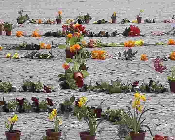Manchester says "peace" with flowers -photos