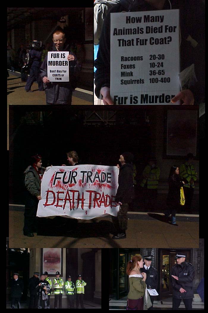 some pics from Selfridges