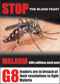 STOP G8 NON-COMPLIANCE