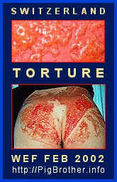 G8: Rubber Bullets + other Swiss Police Weapons ...