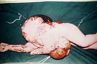 Have a nice evening Mr. Blair with your lovely family..