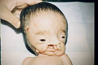 Have a nice evening Mr. Blair with your lovely family..