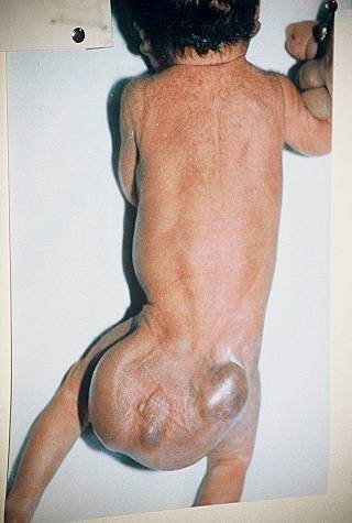 Have a nice evening Mr. Blair with your lovely family..