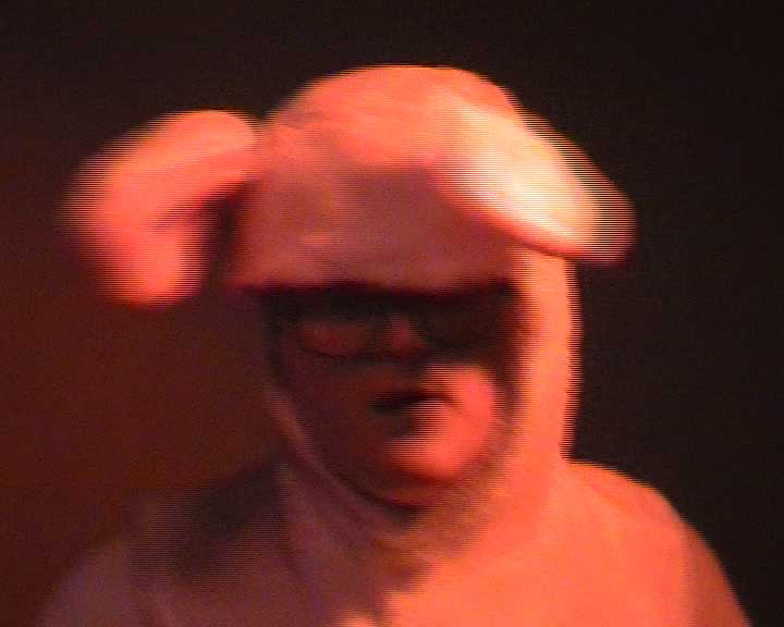 The Cambridge News Bunny