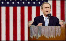 W is always pecking on something...sparrow brain