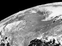 America's unhealthy forests