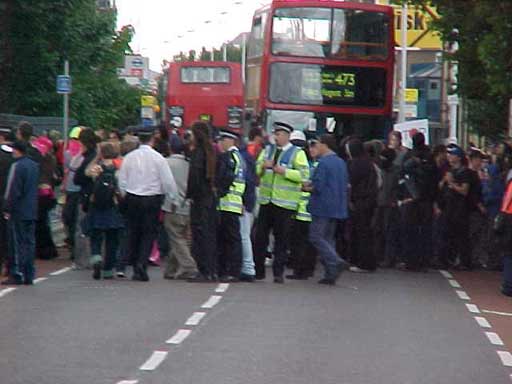 crowd near custom house DLR
