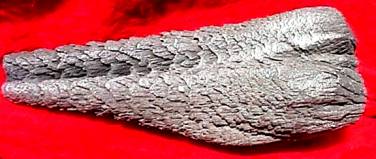 UFO METAL RECOVERED BY BOB WHITE