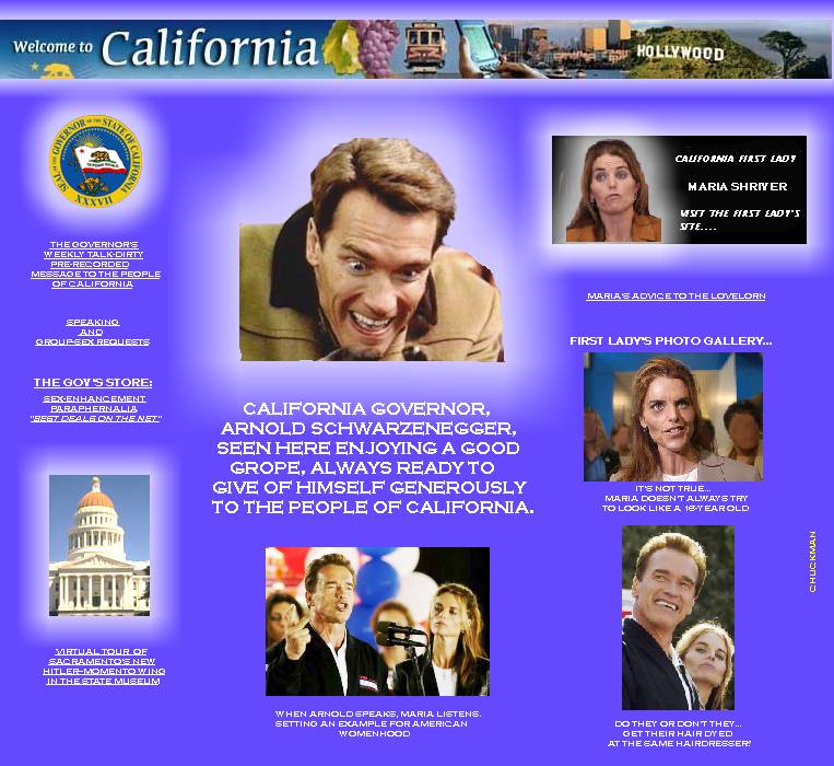 CALIFORNIA GOVERNOR'S NEW NET SITE