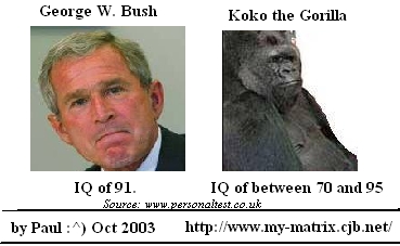 A Comparison of G.W. Bush and Koko the Gorilla!