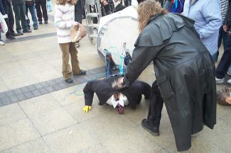 gone... yeeee haaaaaa!!!!