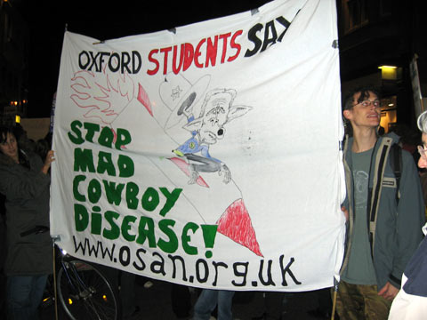 Mad Cowboy Banner