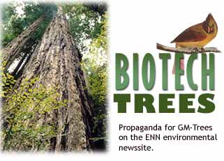 Propaganda on www.enn.com, GM-trees that grow high and birds like it.