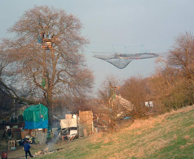 The big beech now has several treehouses as well as supporting one of the corner