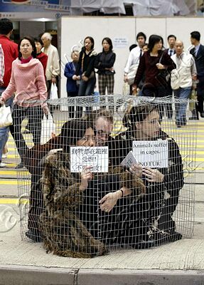 Chinese News Paper Clipping