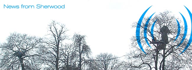 News from the treetops