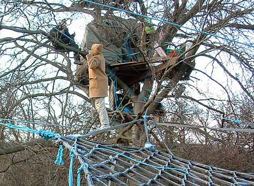 A visitor from overseas crossed his first walkway this week.
