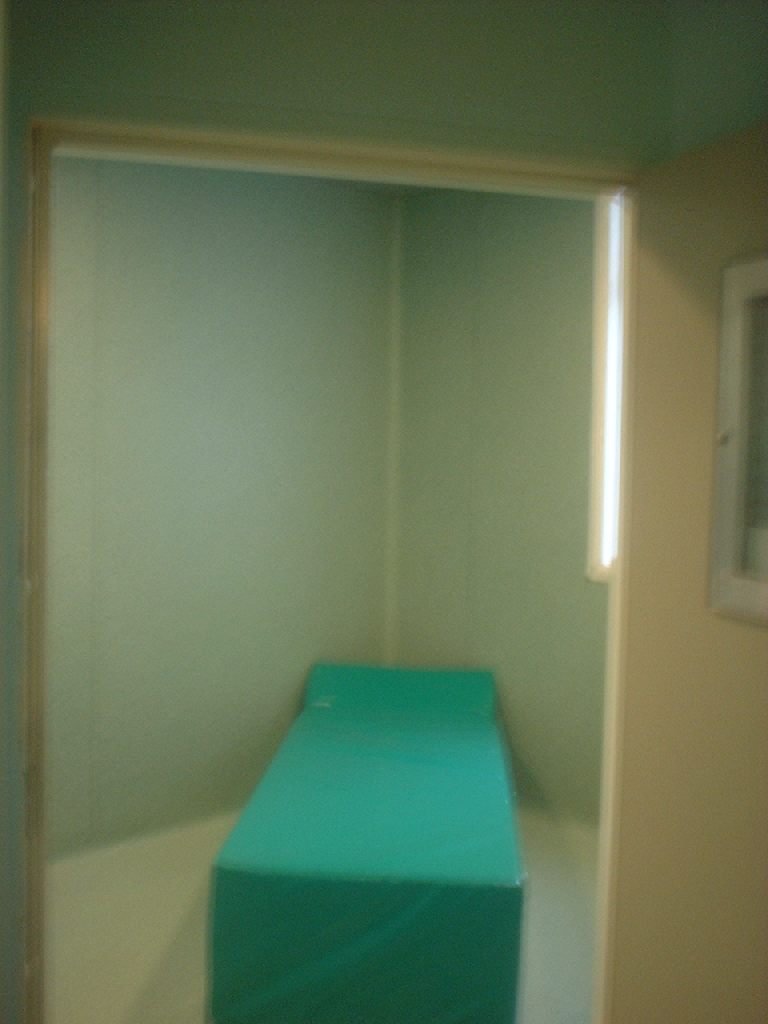 image of a strip cell..