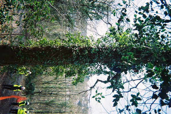 Guy up a tree... can u find him?