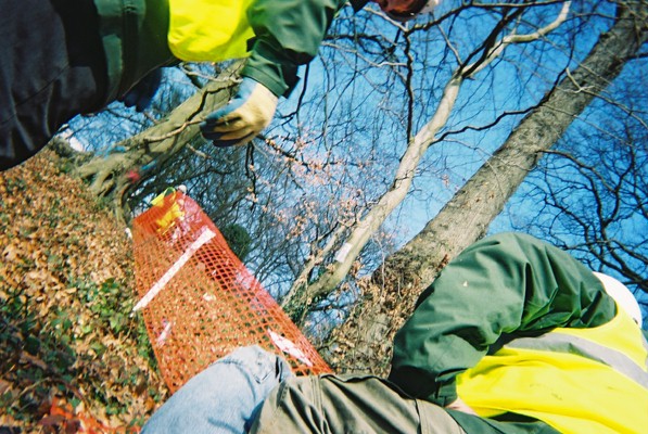 Bailiff trouble on Tuesday