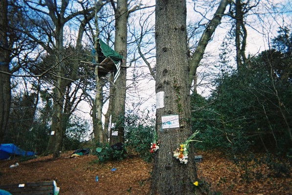 Jordans new platform and flowers