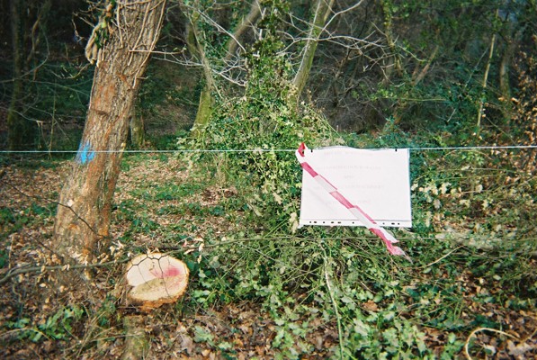 Evidence of cutting on private land?