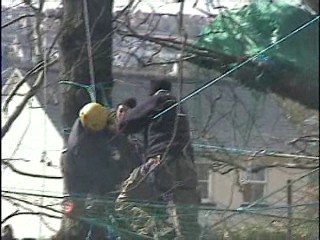 young girl being ruffed up n pulled out of the trees