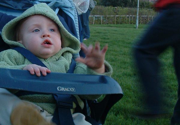 "Whatever will these adults think of next?"