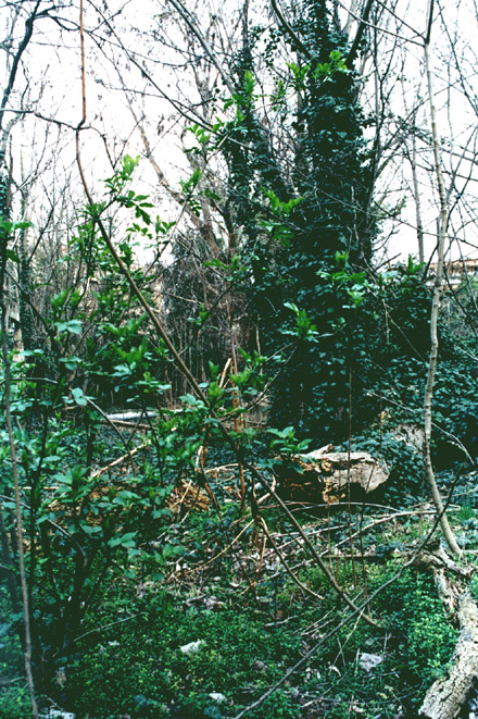 A squat is being set up in Ifanet industry (thessaloniki)