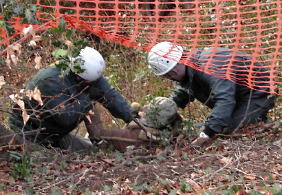 Move Along Quietly now (no faces sorry)