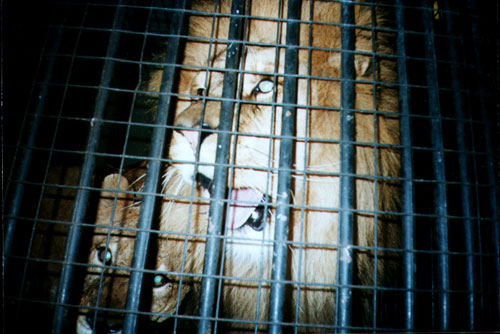 azlan + mother heleen