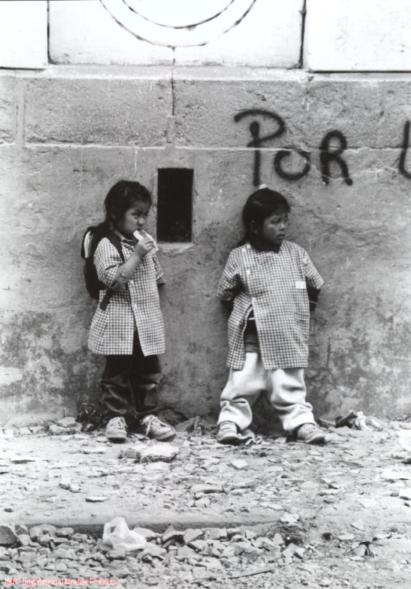 This image requires no addtional script.