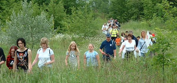 Walking through Shaw forest